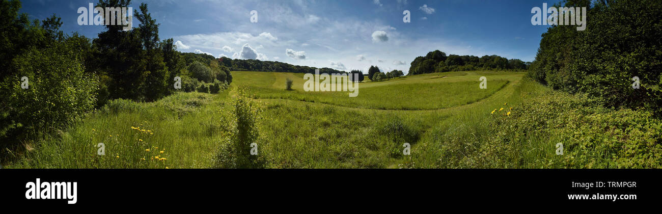 Golfplatz mit Panoramablick mit grünen grünen und blauen Himmel in der Sonne, Surrey, England, Vereinigtes Königreich, Europa Stockfoto