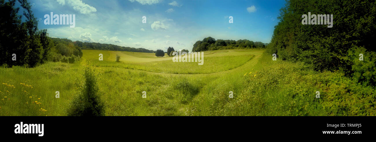 Golfplatz mit Panoramablick mit grünen grünen und blauen Himmel in der Sonne, Surrey, England, Vereinigtes Königreich, Europa Stockfoto