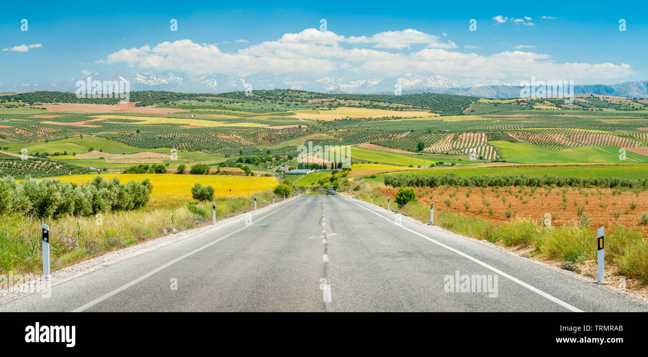 Eine malerische Straße an einem heissen Sommertag in der Sierra Nevada mit schneebedeckten Bergen im Hintergrund, Andalusien, Spanien. Stockfoto