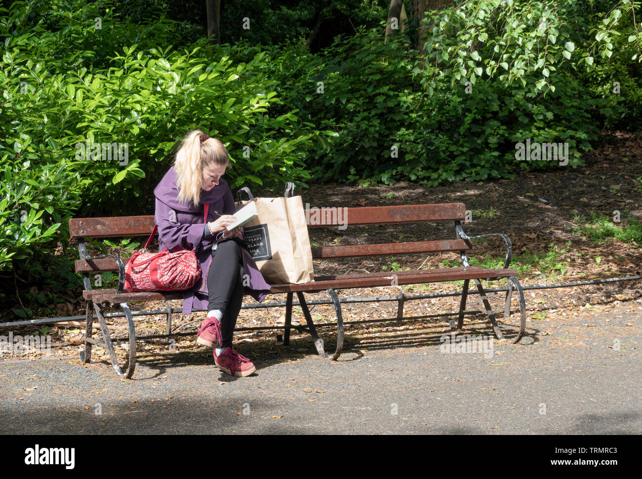 Junge Frau liest ein Buch aus Papier auf einer Bank im Park St. Stephen's Green in Dublin Stockfoto