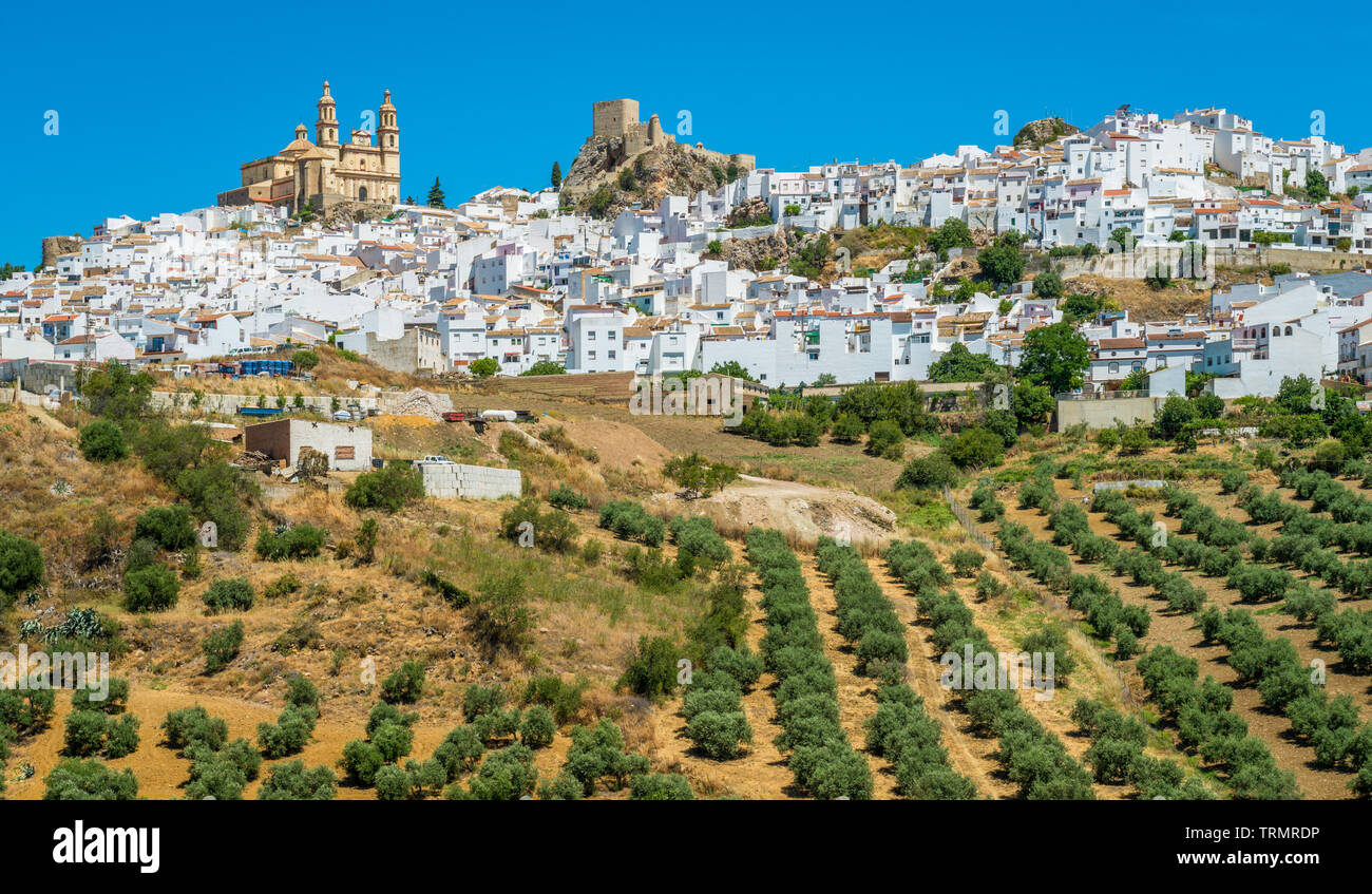 Malerische Anblick in Olvera, Provinz Cadiz, Andalusien, Spanien. Stockfoto