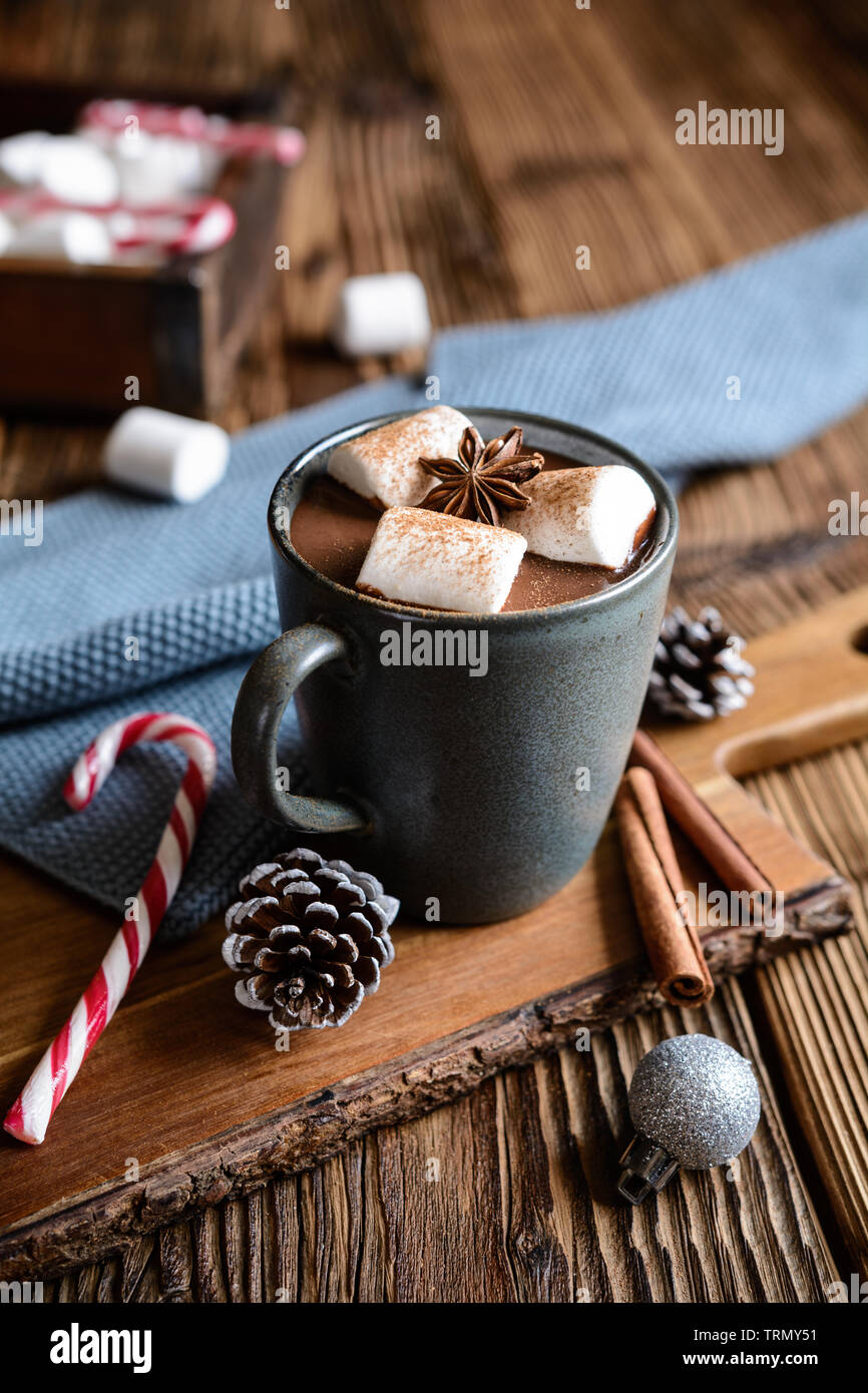 Köstliche heiße Schokolade mit Marshmallows, bestreut mit Zimt Stockfoto