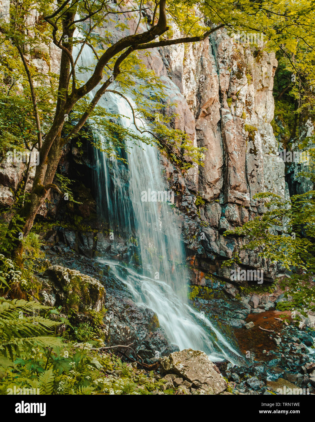 Boyana Wasserfall in Berg Vitosha Sofia Bulgarien Stockfoto