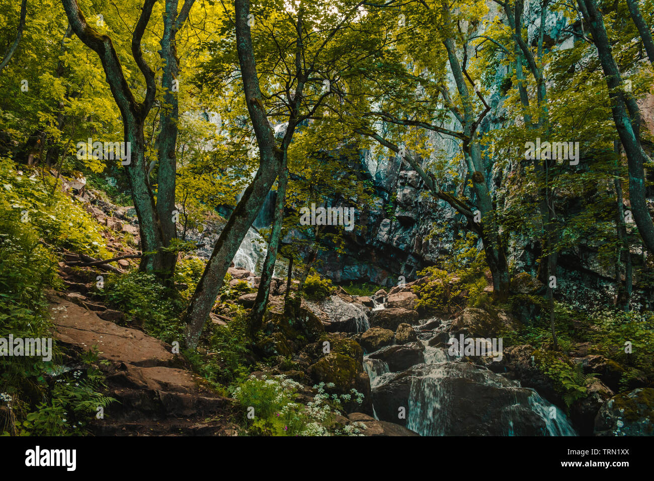 Boyana Wasserfall in Berg Vitosha Sofia Bulgarien Stockfoto