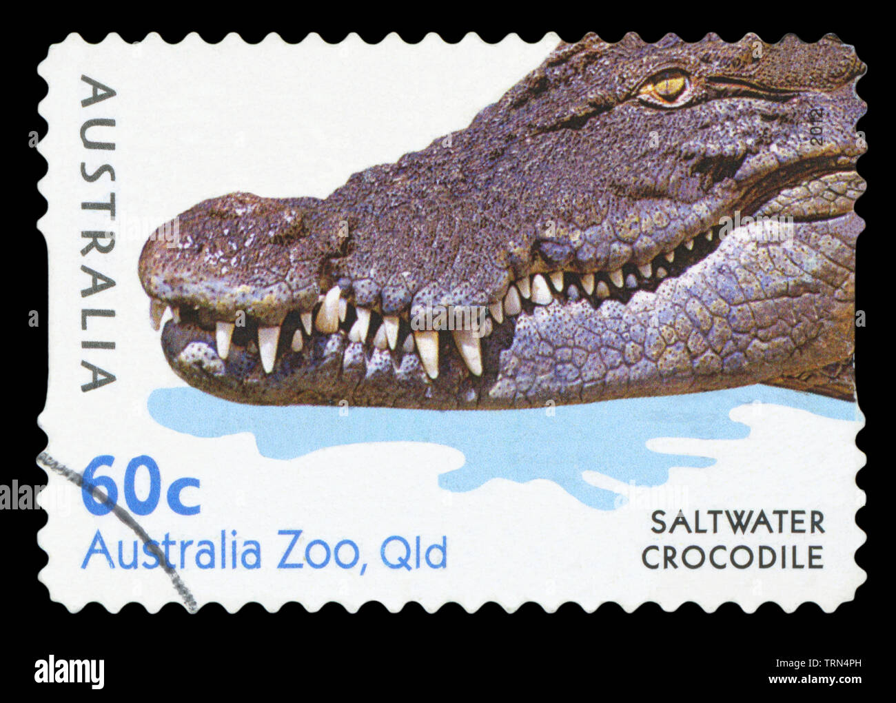 Australien - ca. 2012: einen Stempel in den Australien gedruckten zeigt Salzwasser Krokodil in den Australia Zoo, Qld, circa 2012. Stockfoto