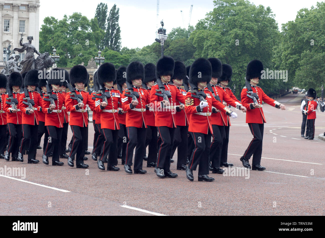Die Scots Guards auf der Mall für die Farbe 2019, eines der ältesten gebildet Regimenter in die reguläre Armee Stockfoto