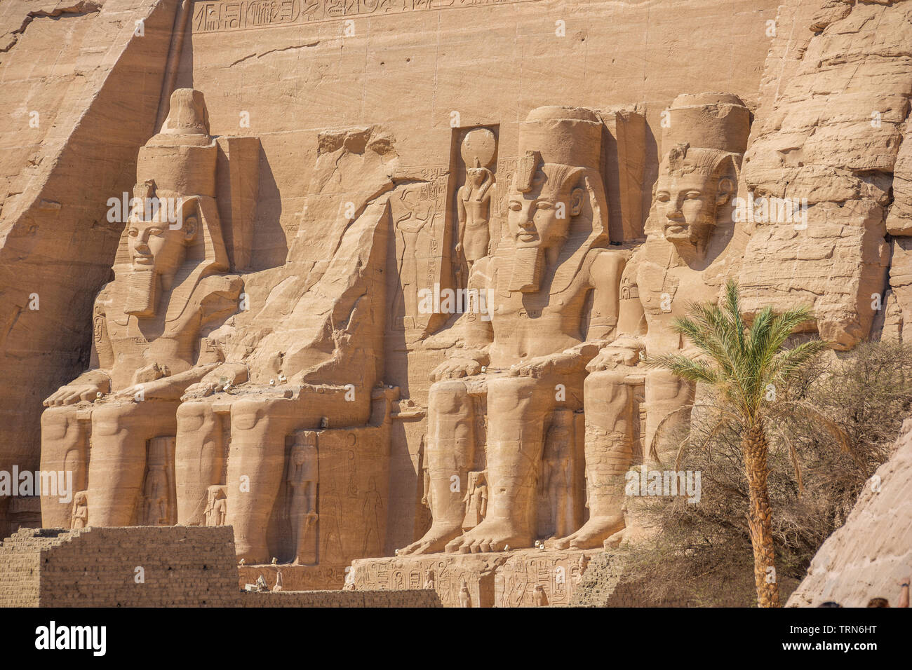 Kolossale Statuen von Ramses II. vor dem Großen Tempel von Abu Simbel Stockfoto