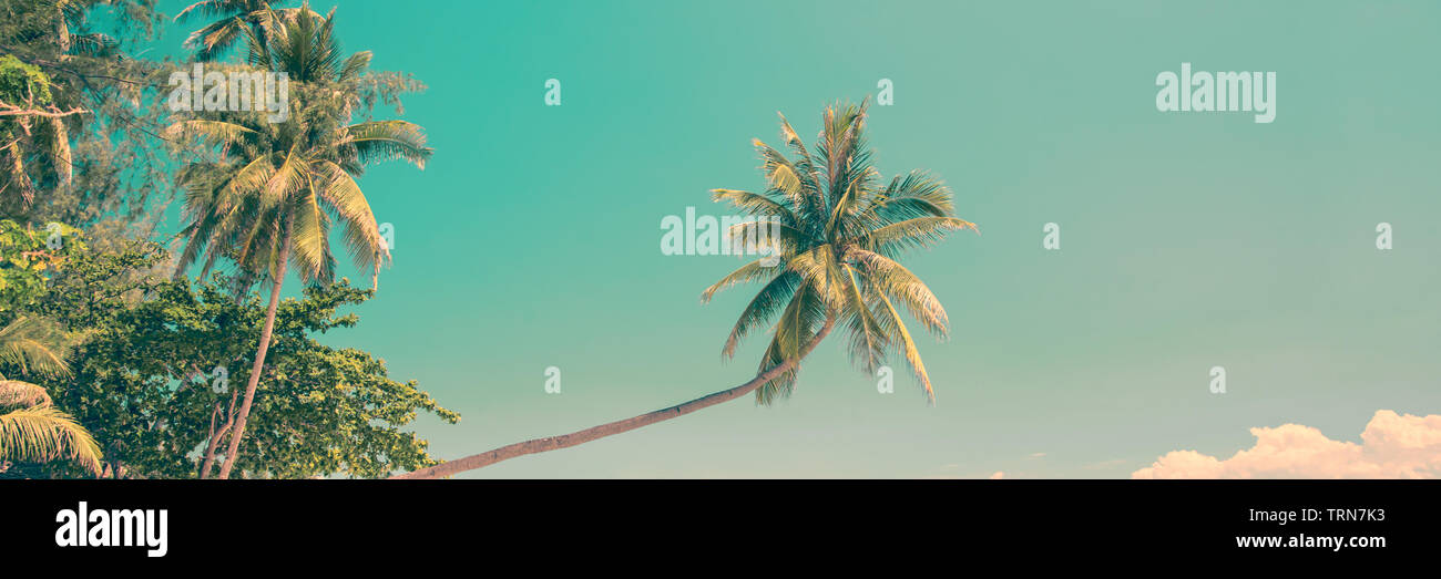 Tropische Panorama mit einem schiefen Palm Tree, vintage Prozess Stockfoto