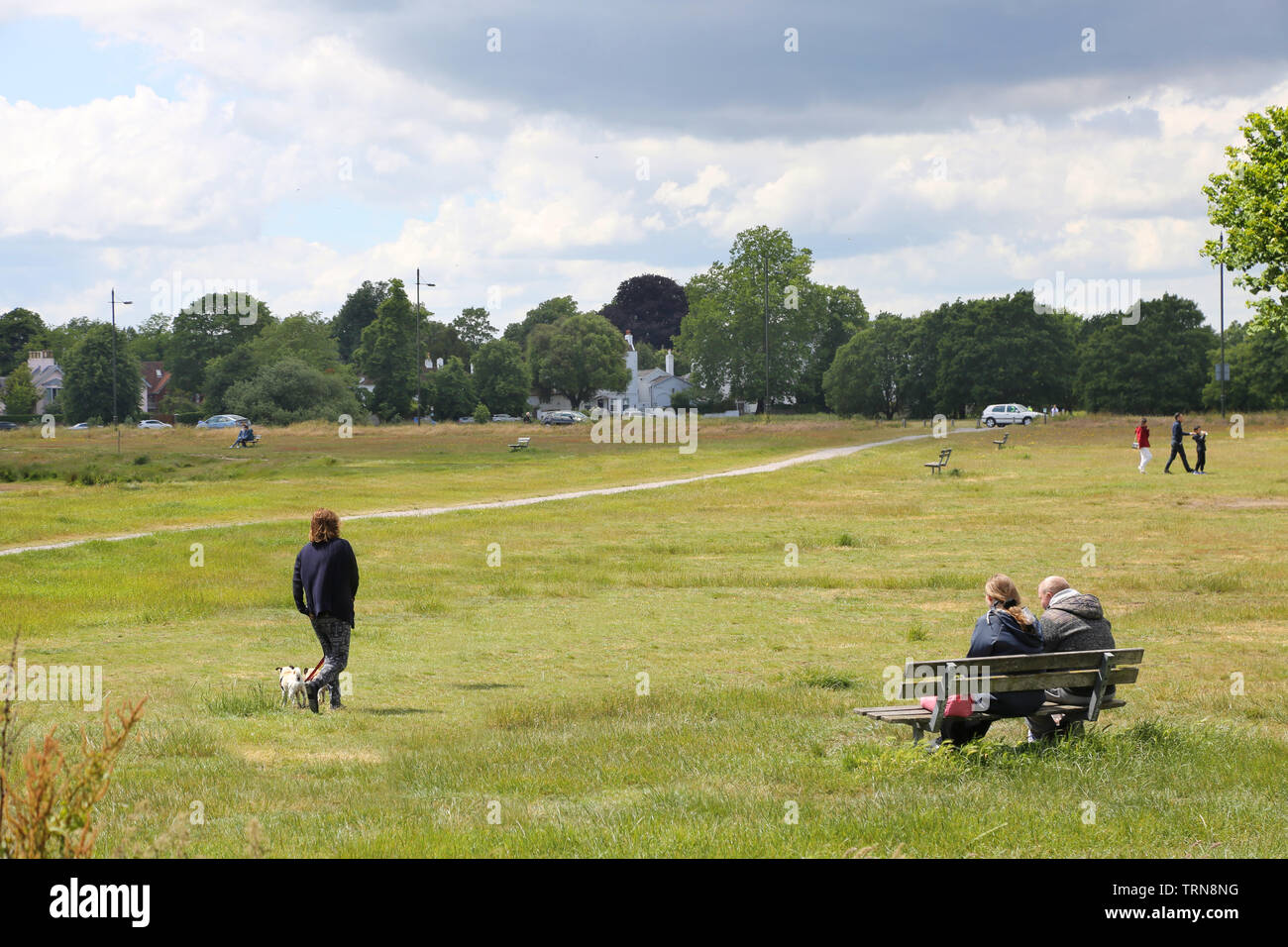 Wimbledon Common, im Südwesten von London, UK, Sommer. Menschen zu Fuß und sitzen auf der offenen Wiese um rushmere Teich in der Nähe von Wimbledon Village. Stockfoto