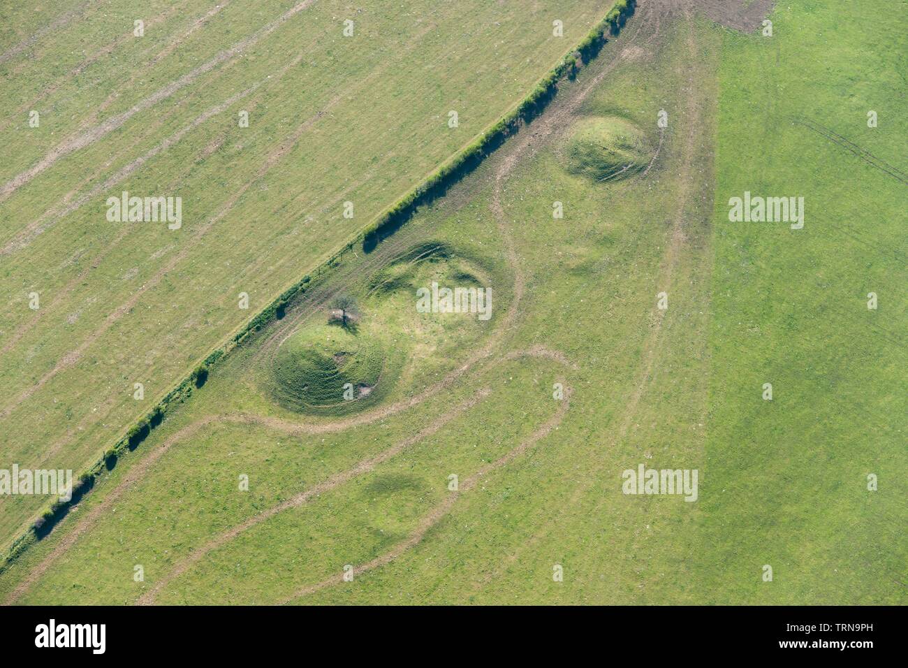 Drei runden Barrow Barrow Klumpen Friedhof, Winterbourne Armen los, Dorset, 2015. Schöpfer: Historisches England Fotograf. Stockfoto