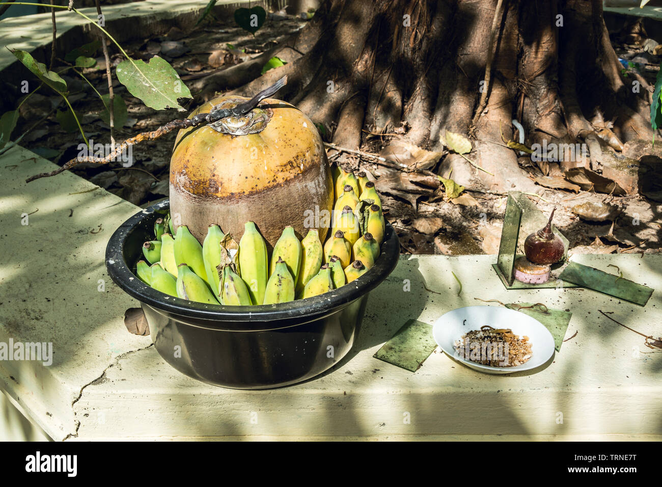 Die burmesische symbolischen Brauch der Angebot auf Deva Stockfoto