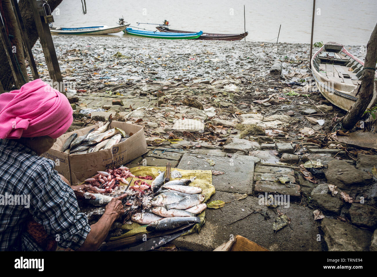 Schneiden Rohu Fische am Ufer in burmesischen Dorf 1. Stockfoto