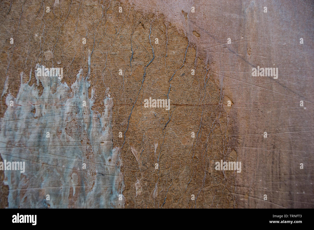 Abstrakte Design auf dem Verona Marmor Fliesen Stockfoto