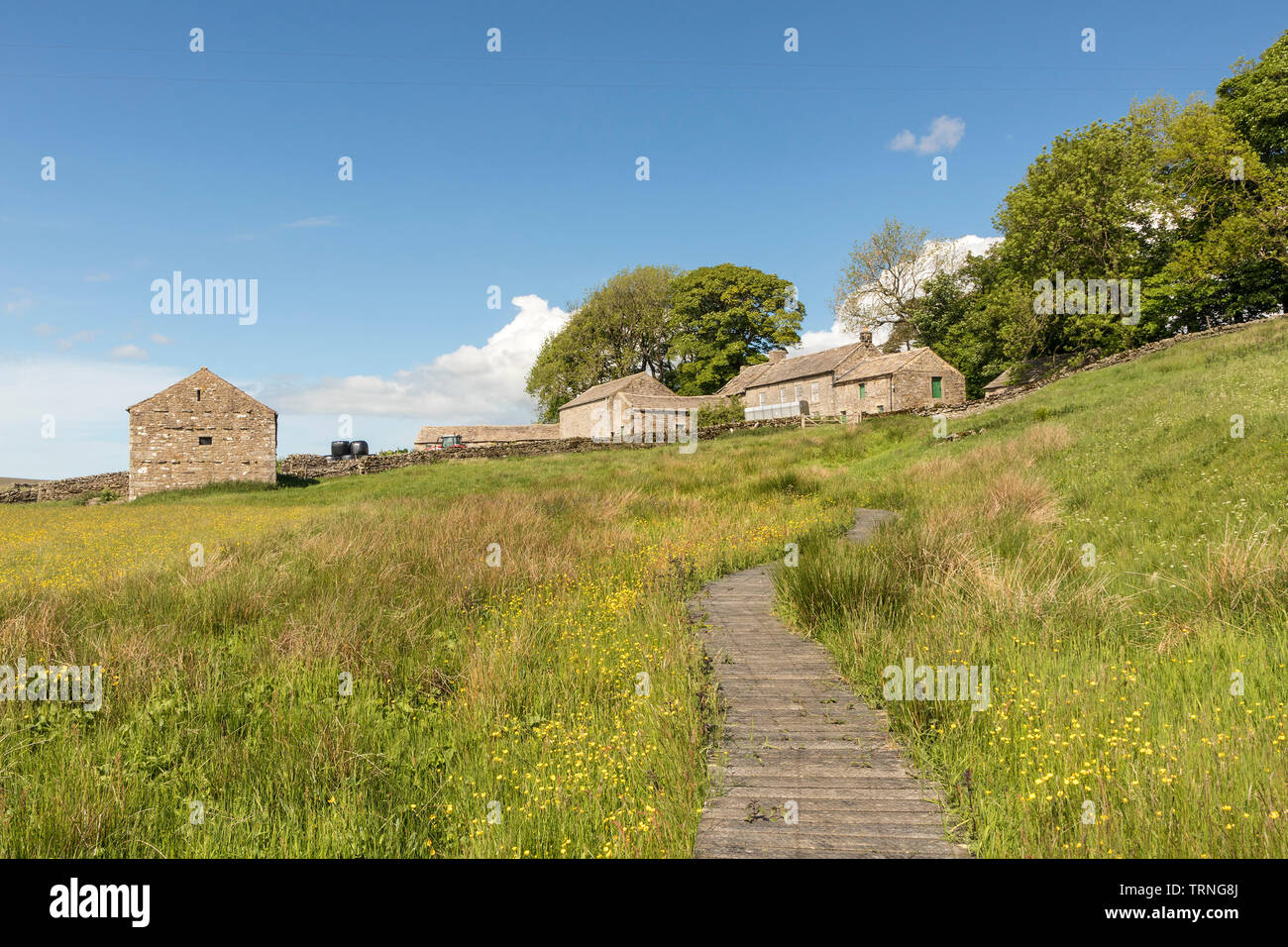 Hannah's Meadow Nature Reserve, Baldersdale, County Durham, UK Stockfoto