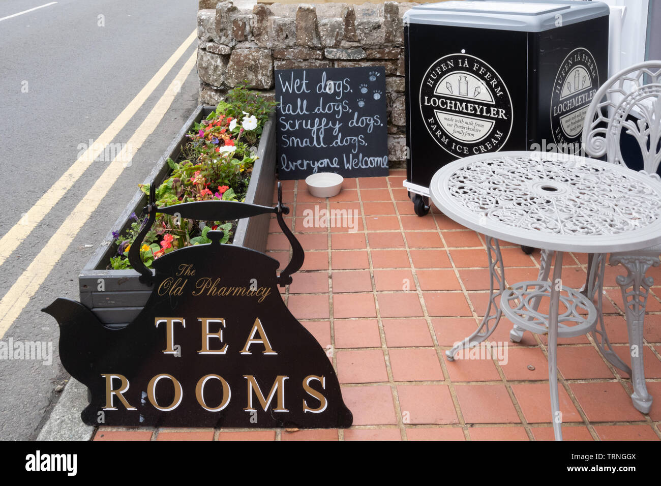 Zeichen außerhalb Kaffee Zimmer in Solva, Pembrokeshire, Wales: Nasse Hunde, große Hunde, Scruffy hunde, kleine hunde, jeder willkommen Stockfoto