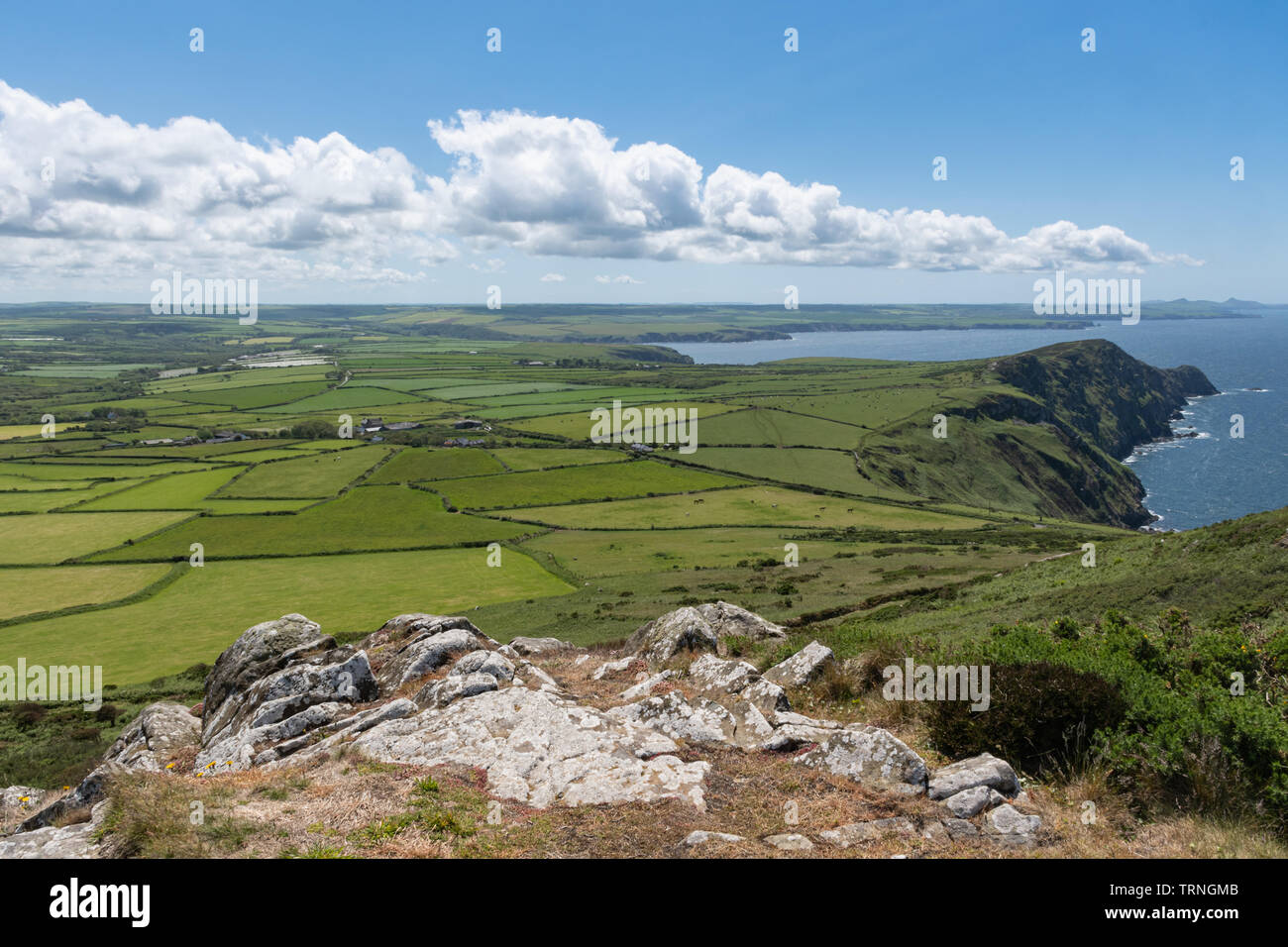 Strumble Kopf Küstenlandschaft und schroffen Felslandschaft im Sommer in Pembrokeshire, Wales, Großbritannien Stockfoto