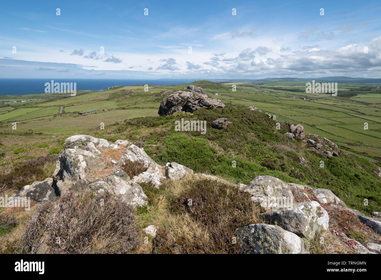 Strumble Kopf Küstenlandschaft und schroffen Felslandschaft im Sommer in Pembrokeshire, Wales, Großbritannien Stockfoto