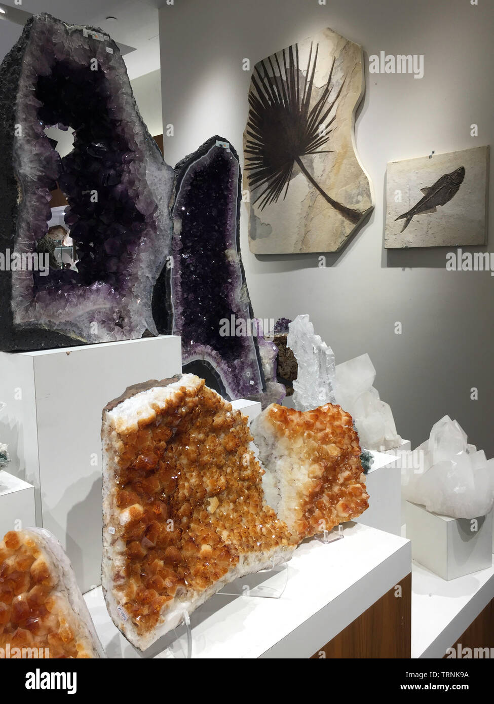 Mineral- und Rock Anzeige, Astro Galerie von Edelsteinen, NYC, USA Stockfoto