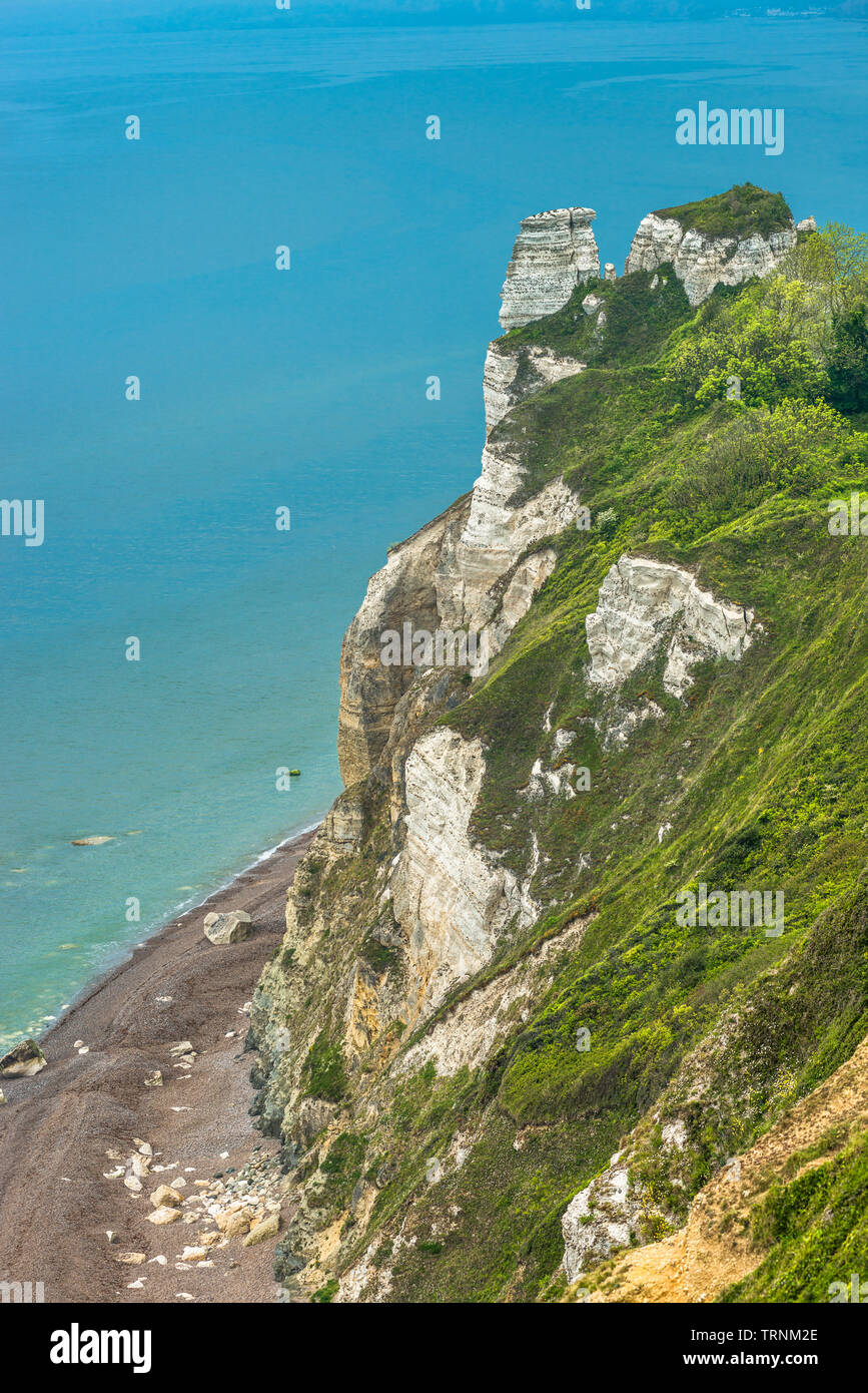 Bier Kopf gegen Branscombe Mund, der Spencer Court ist ein Naturparadies in Kreidefelsen. Devon, Großbritannien Stockfoto