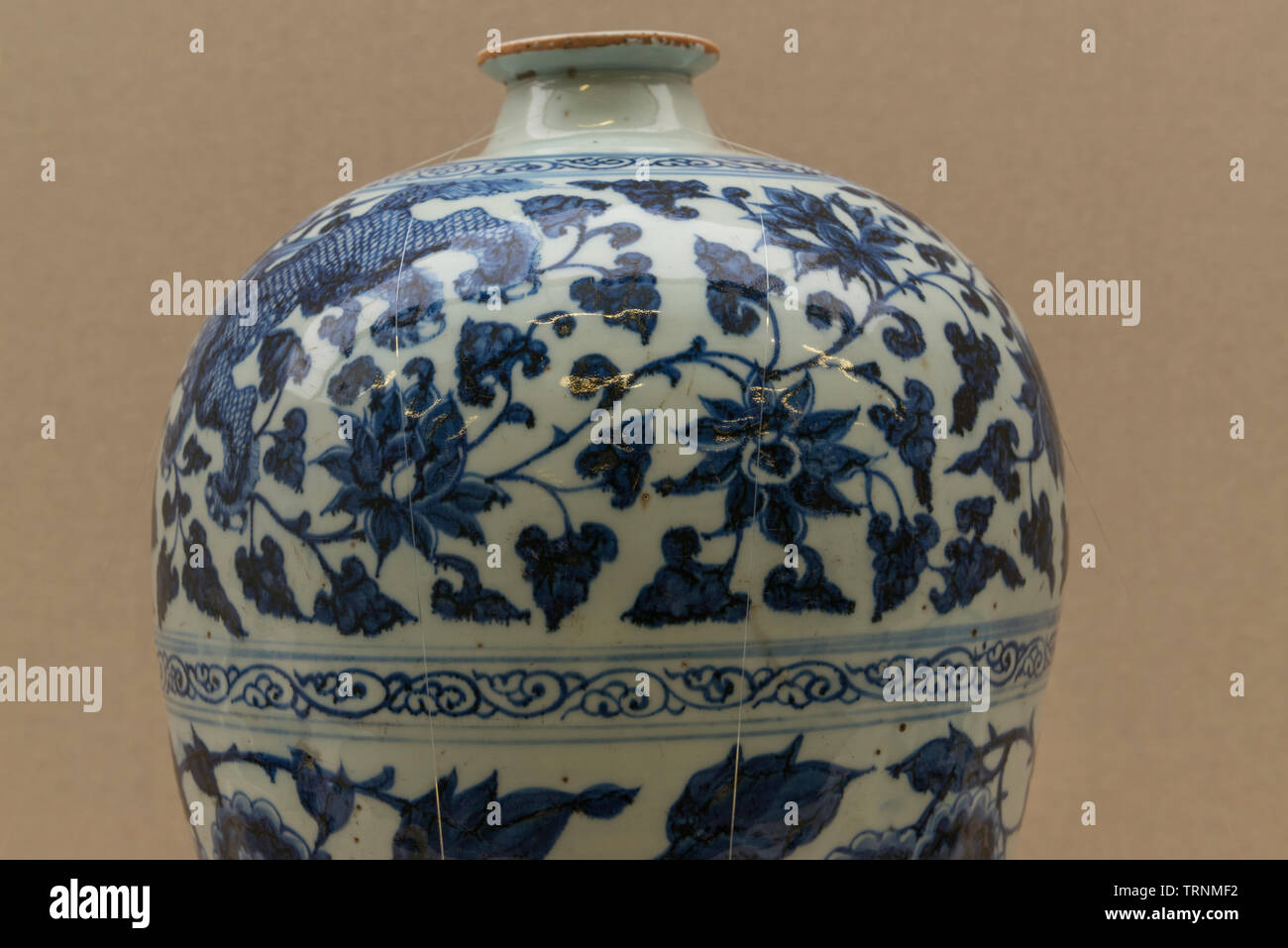 Teil des Blauen und Weißen Porzellan Glas im Iran National Museum, die ursprünglich aus China von Yuan dynasty, 1271-1368 CE Stockfoto