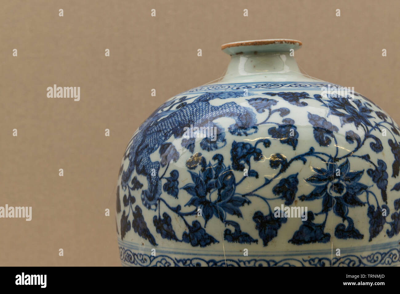 Teil des Blauen und Weißen Porzellan Glas im Iran National Museum, die ursprünglich aus China von Yuan dynasty, 1271-1368 CE Stockfoto