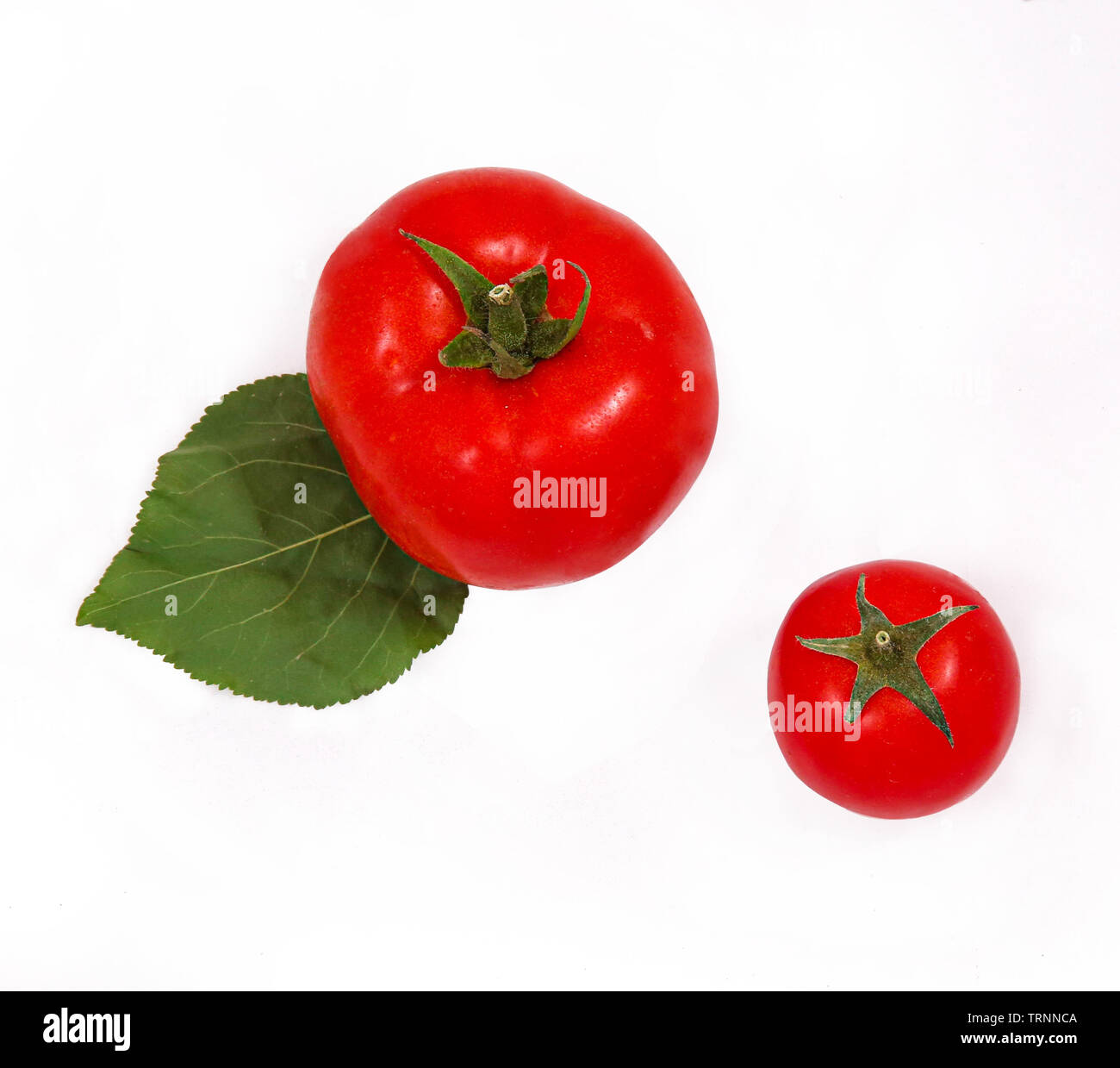 Frische Tomaten auf einen Korb und ein Holzbrett. Zusammen mit Wassertröpfchen. Stockfoto