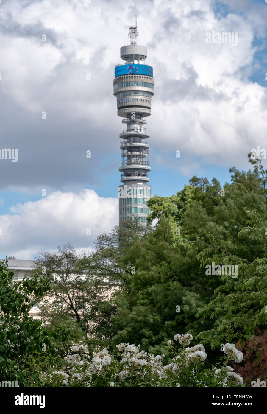 Iconic BT Tower von der BT-Gruppe, von Park Square und Park Crescent Gärten gesehen. Während die Londoner offenen Garten fotografiert Quadrate Wochenende Stockfoto