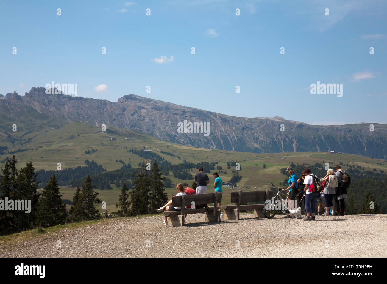 Der Naturpark Schlern Rosengarten gesehen von Acrossthe Wiesen und Wäldern der Seiser Alm Sommer St. Ulrich Gröden Dolomiten Italien Stockfoto