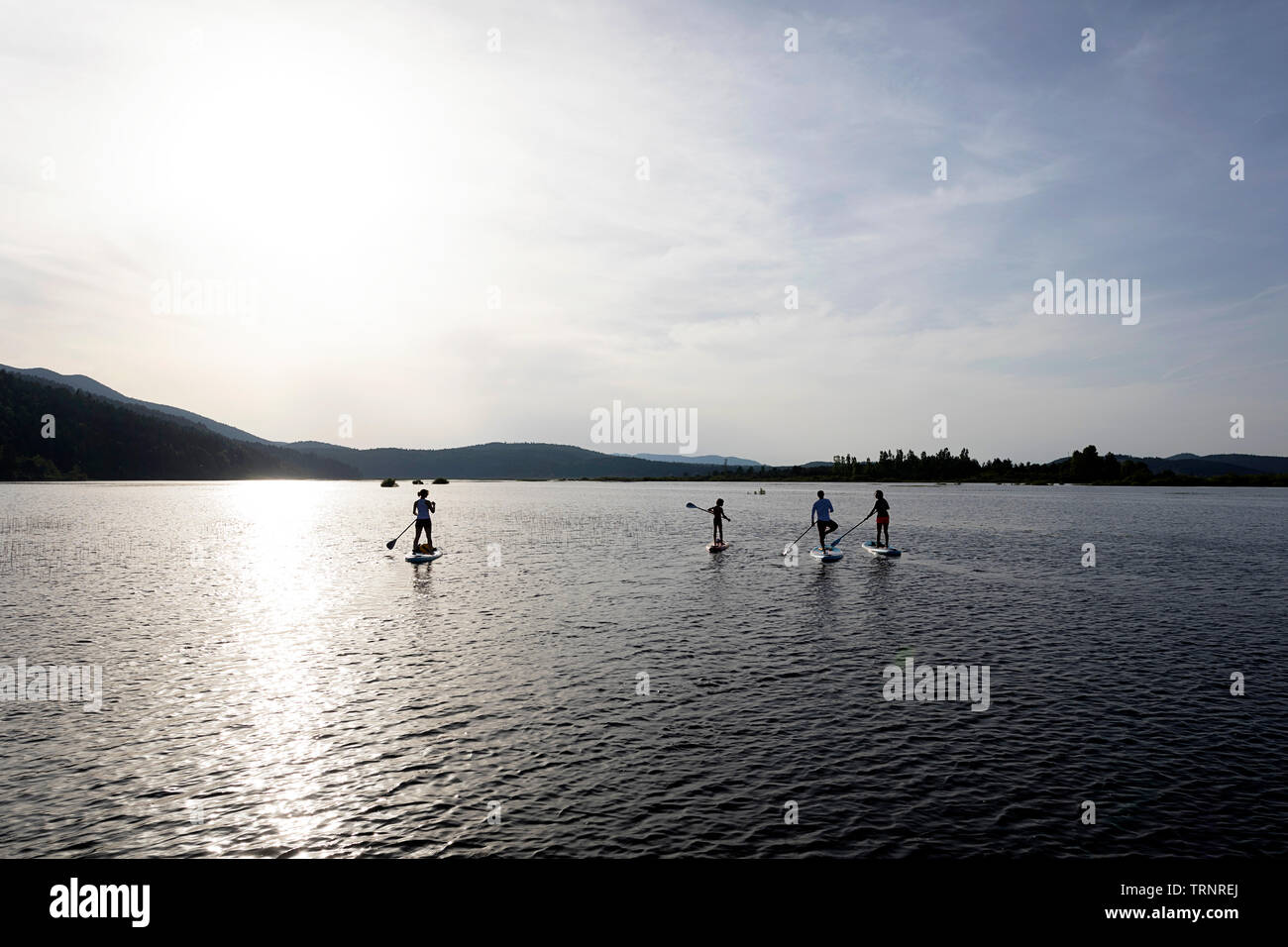 Freunde Stand Up Paddle Boards (SUP) am späten Nachmittag auf Zirknitzer See, Slowenien Stockfoto