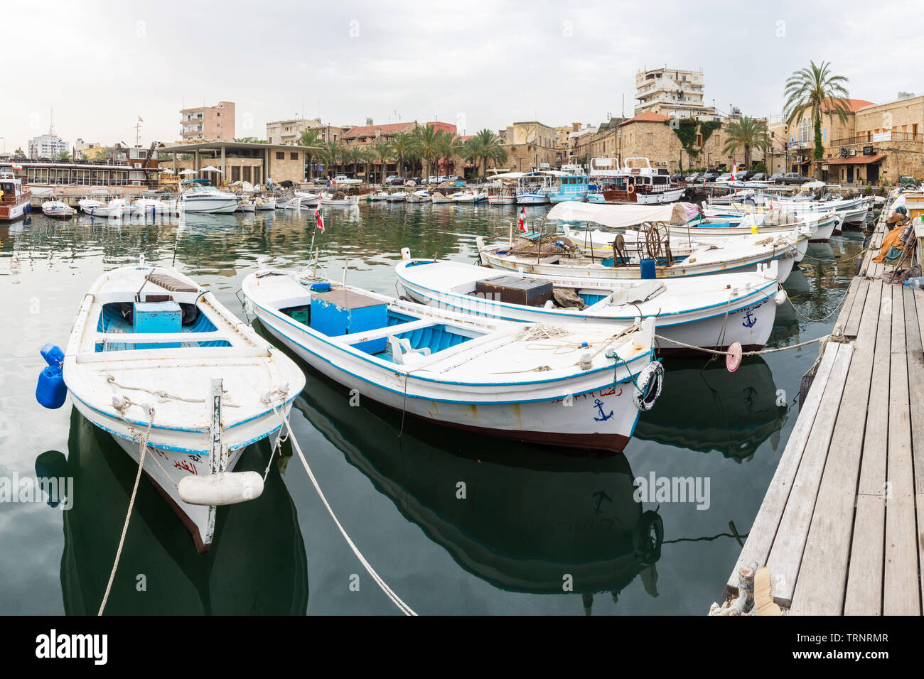 Boote im Hafen am frühen Morgen Reifen, Reifen, Libanon Stockfoto