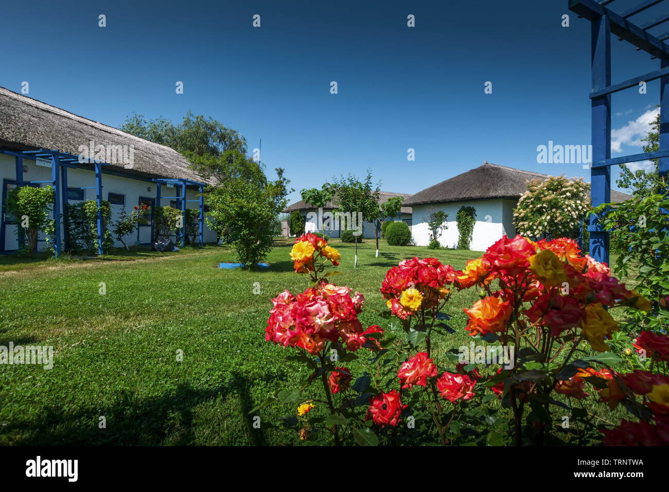 Gura Portitei, Donaudelta, Rumänien - Fischerdorf, Boot mit Blumen gefüllt Stockfoto