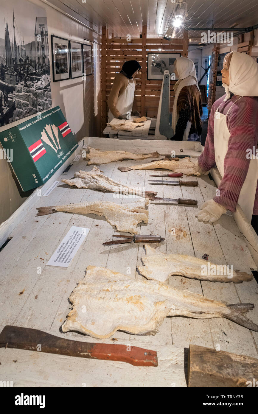 Anzeige im Fischerei Museum, Ålesund, Møre og Romsdal, Sunnmøre, Norwegen Stockfoto