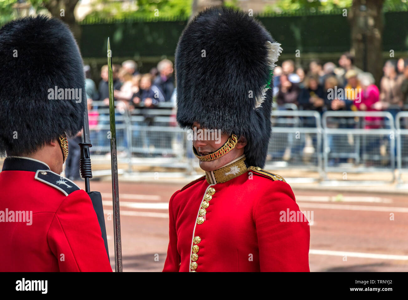 Ein Offizier der Welsh Guards inspiziert einen Soldaten, der im Straßendienst entlang der Mall bei der Trooping the Color Parade in London, Großbritannien, 2019, steht Stockfoto