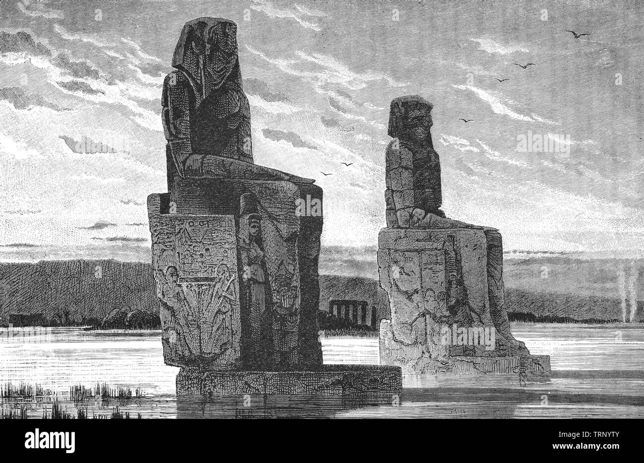 Die Kolosse von Memnon sind zwei massiven steinernen Statuen, die in der Thebanischen Nekropole gestanden haben, westlich des Nils von der modernen Stadt Luxor. Die beiden Statuen zeigen Amenhotep III (Fl. Jahrhundert v. Chr.) in sitzender Position, seine Hände auf seine Knie und sein Blick nach e den Fluss. Zwei kürzere Zahlen sind in den vorderen Thron neben seine Beine geschnitzt: Diese sind seine Frau und Mutter Teje Mutemwiya. Stockfoto