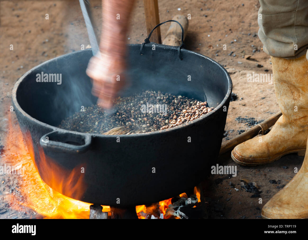 Kaffeebohnen geröstet über einem Holzfeuer durch einen Landwirt im Valle de Vinales, Vinales, Kuba, Karibik Stockfoto