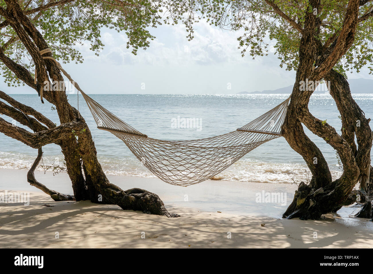 Hngematte hngen von tropischen Baum ber Sommer sand Strand Meer in Koh  Phangan Island, Thailand. Sommer, Reisen, Ferien und Urlaub Konzept  Stockfotografie - Alamy