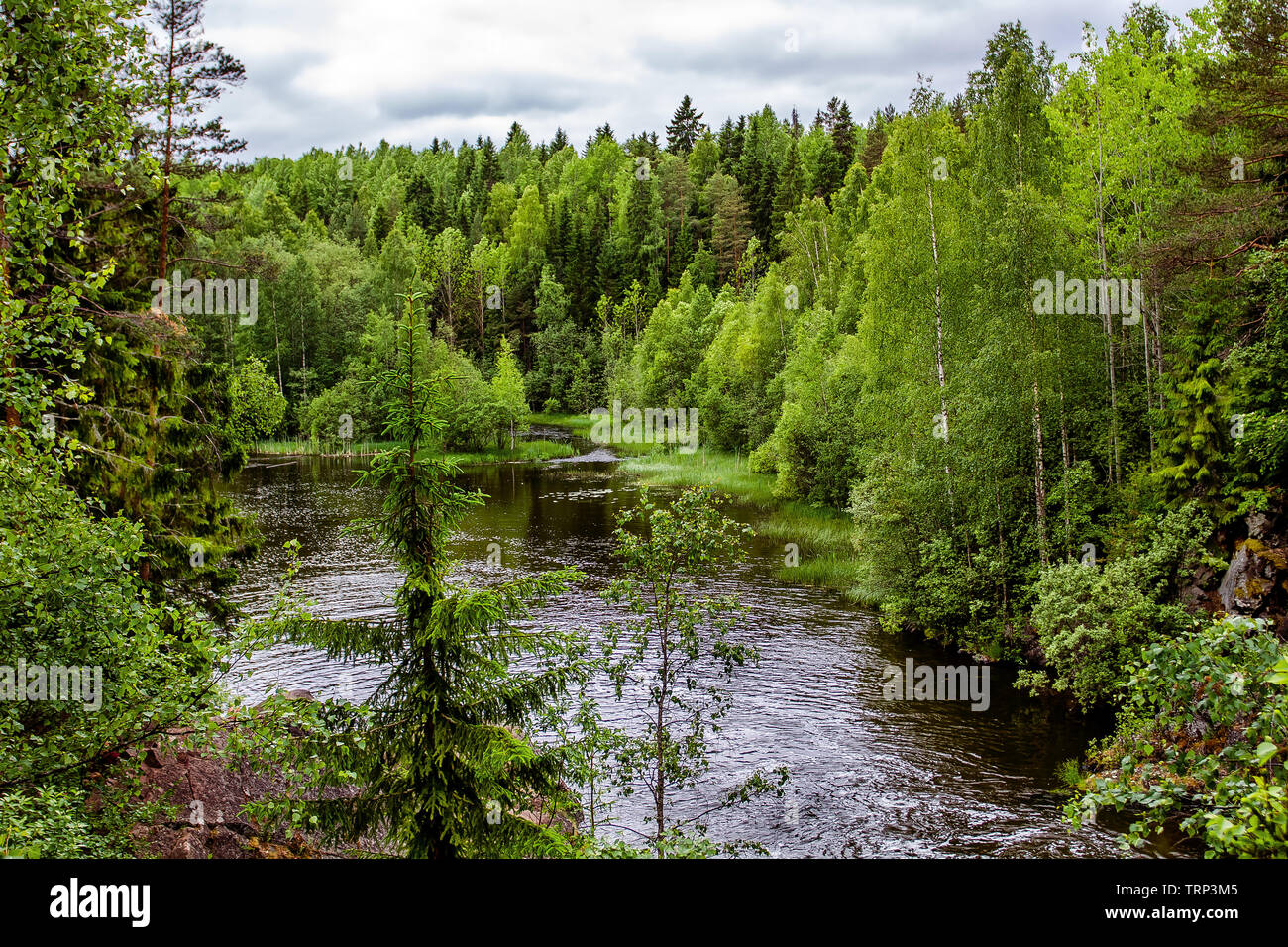 Die Natur des russischen Nordens. Karelien. Russland Stockfoto
