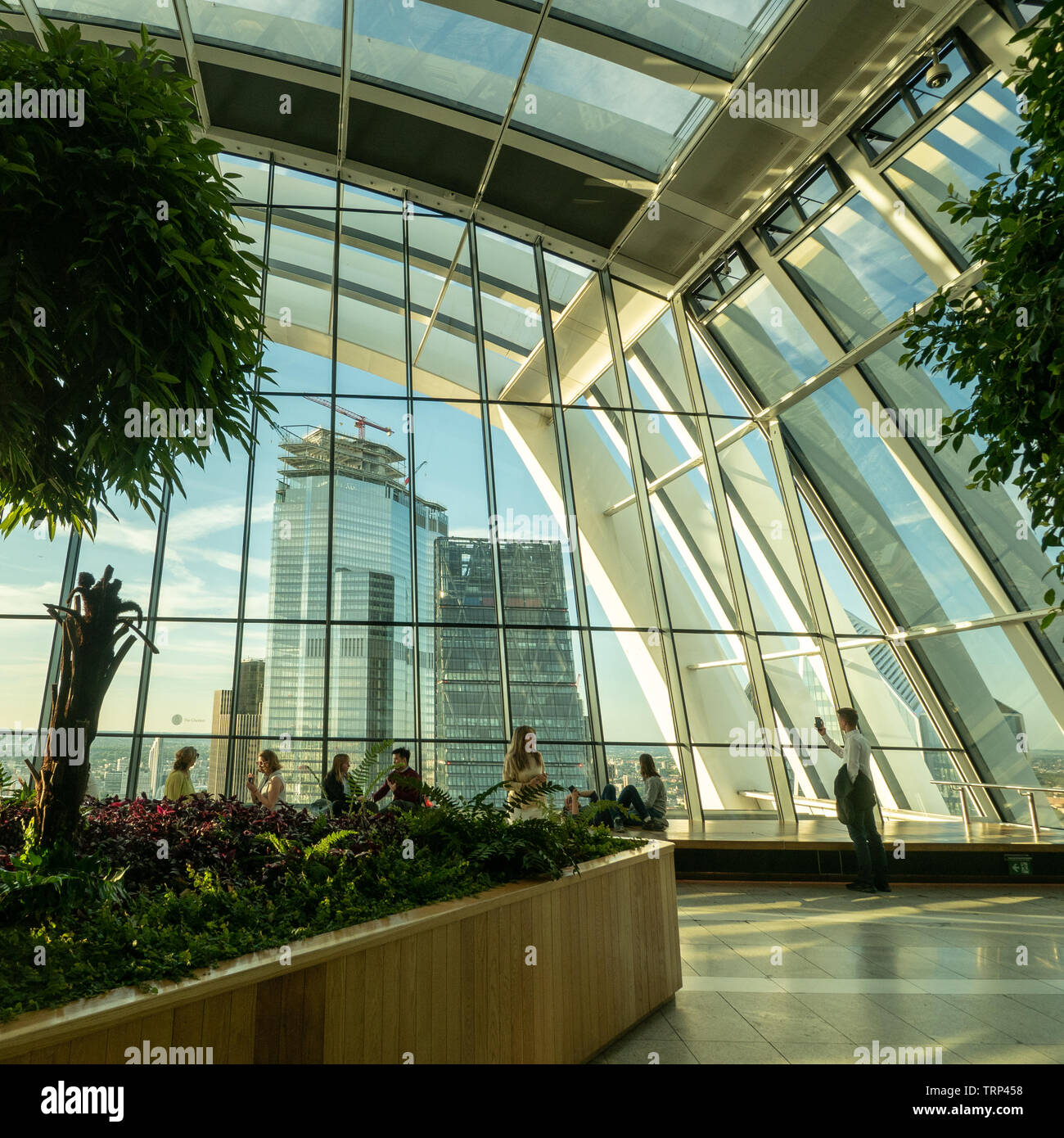 Sky Garden Interior, Walkie Talkie Wolkenkratzer, London, England. Stockfoto