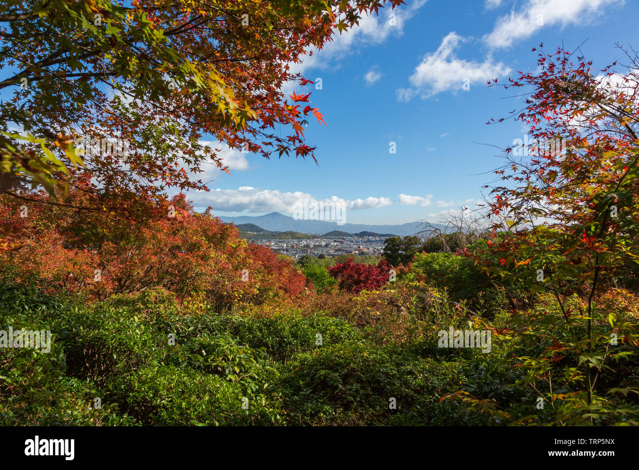 Okochi Sanso Garten, Arashiyama, Kyoto, Japan Stockfoto