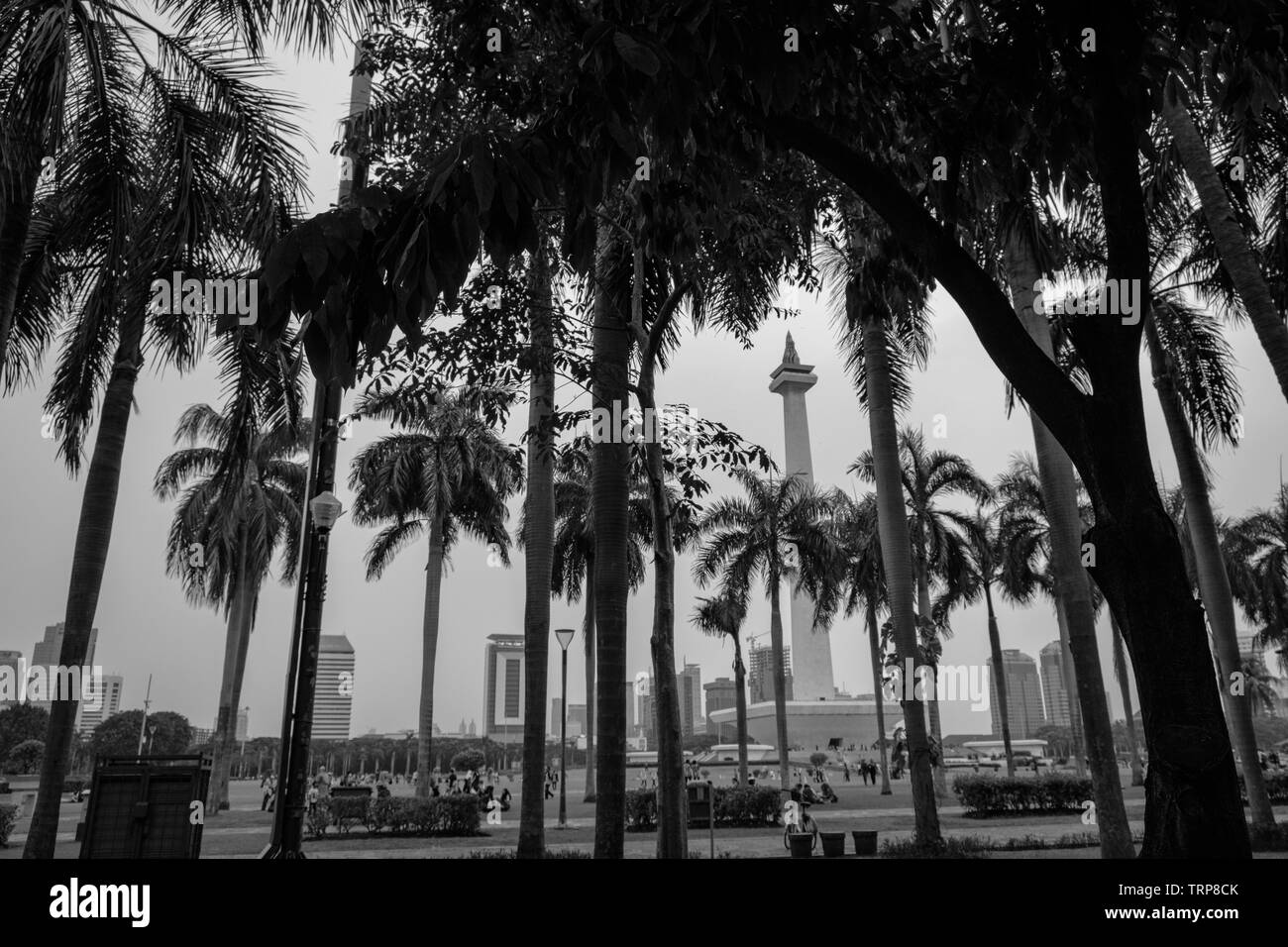 parken Sie um das Nationaldenkmal in Jakarta Stockfoto