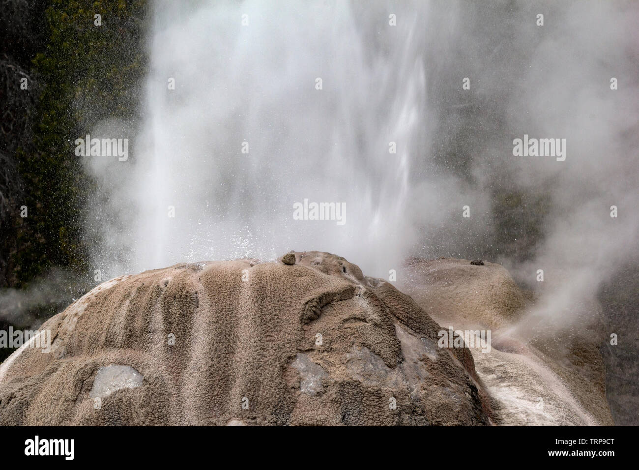 Lone Star Geysir im Yellowstone National Park Stockfoto