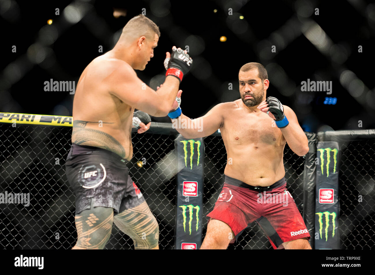 Chicago, IL, Vereinigte Staaten - 8 Juni, 2019: Tai Tuivasa Kampf gegen Blagoy Iwanow bei UFC 238 bei United Center. Stockfoto