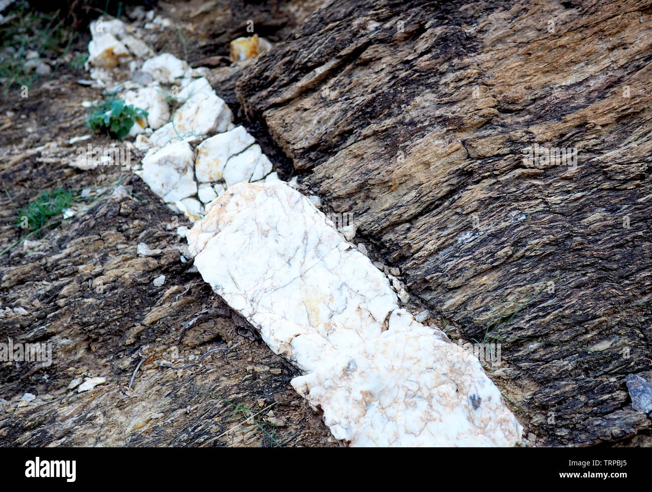 Naht von Quarz in sedimentären Sandstein rock Stockfoto