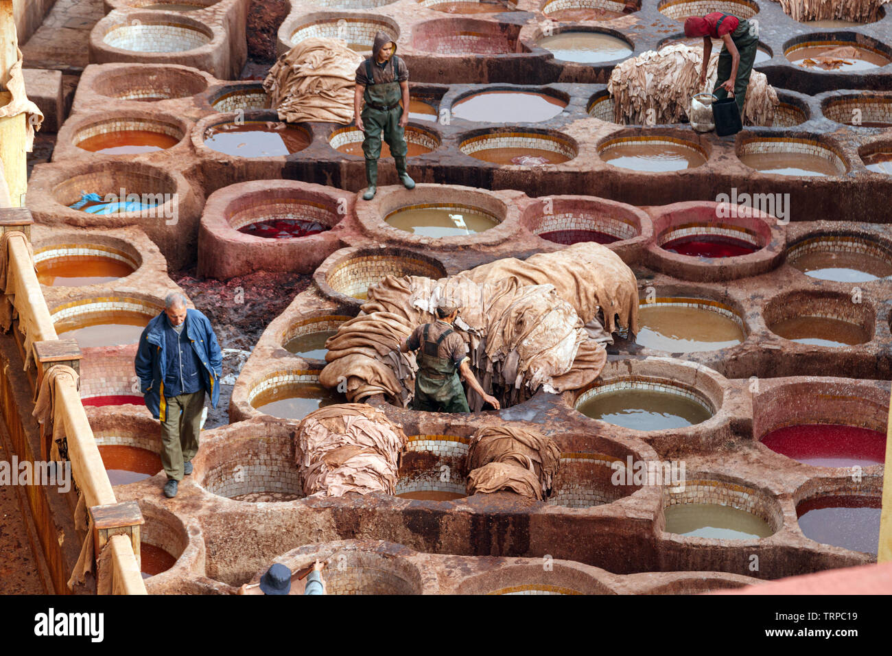 Arbeiter produzieren und Färben von Leder in traditioneller Weise an der Chouara Gerberei. Fez, Marokko. Stockfoto