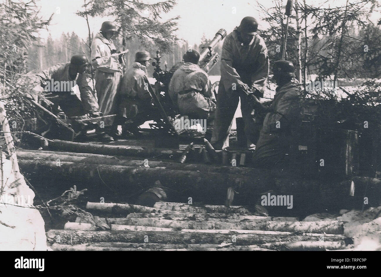Deutsche Truppen in weißen Tarnanzüge mit einem 75-mm-Berg Haubitze auf der nördlichen Sektor der russischen Front 1943 Stockfoto