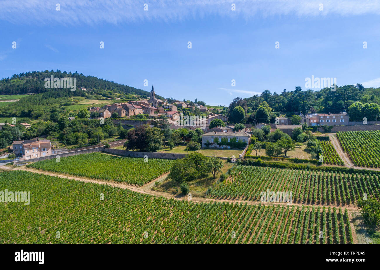 Frankreich, Saone-et-Loire, La Roche Vineuse, Dorf und Weinberg (Luftbild) // Frankreich, Saône-et-Loire (71), La Roche-Vineuse, Dorf et Vignoble (Vu Stockfoto