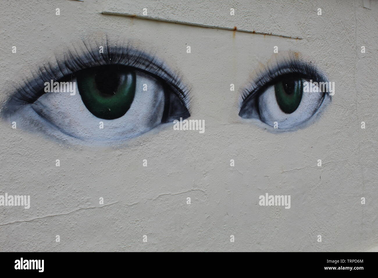 Große grüne Augen. Stockfoto