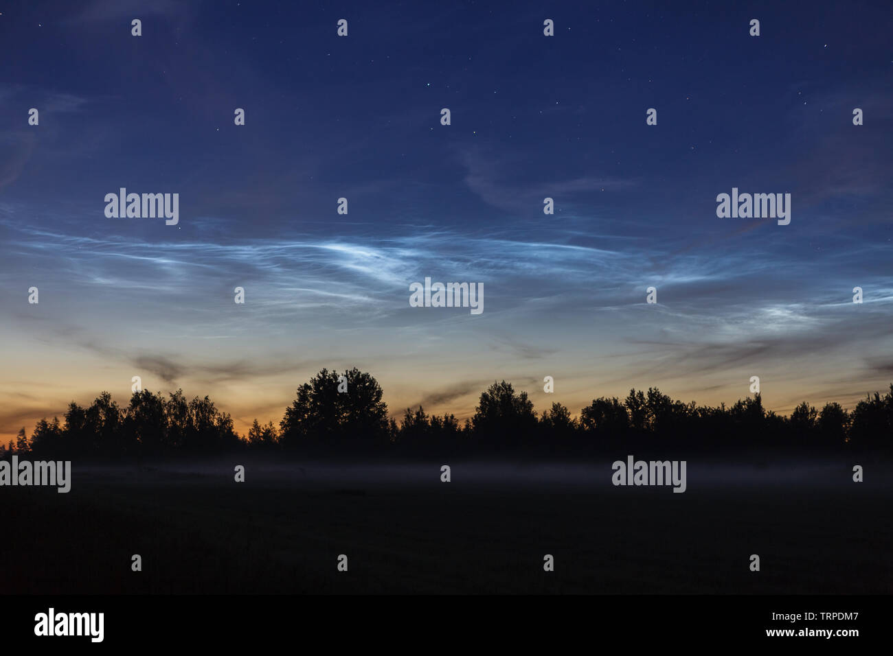 Nachtleuchtende Wolken (NLC, Nacht, Wolken, silber Wolken), Cloud-ähnliche Phänomene in der Mesosphäre Stockfoto