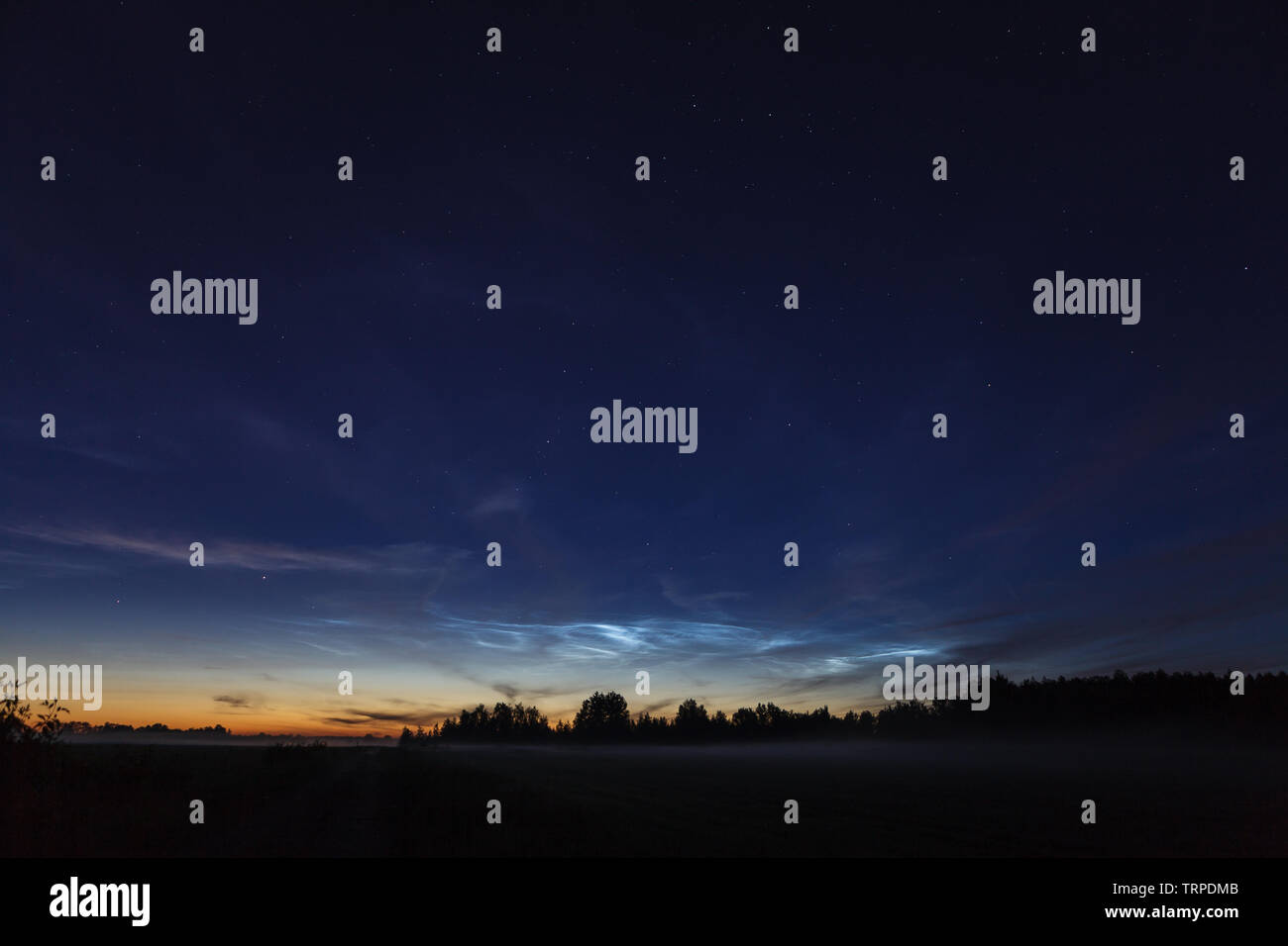 Nachtleuchtende Wolken (NLC, Nacht, Wolken, silber Wolken), Cloud-ähnliche Phänomene in der Mesosphäre Stockfoto