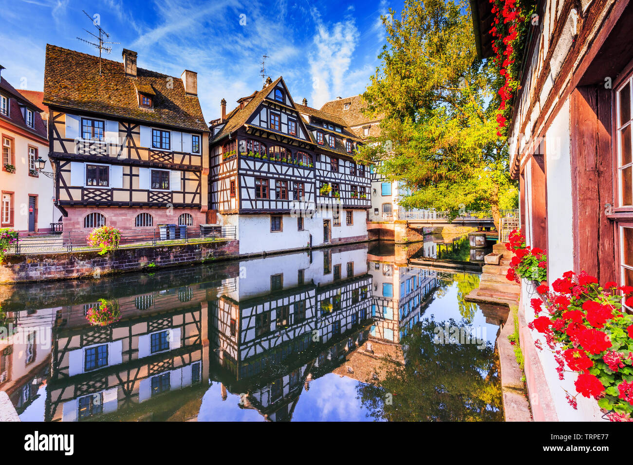 Straßburg, Elsass, Frankreich. Traditionelle Fachwerkhäuser Petite France. Stockfoto
